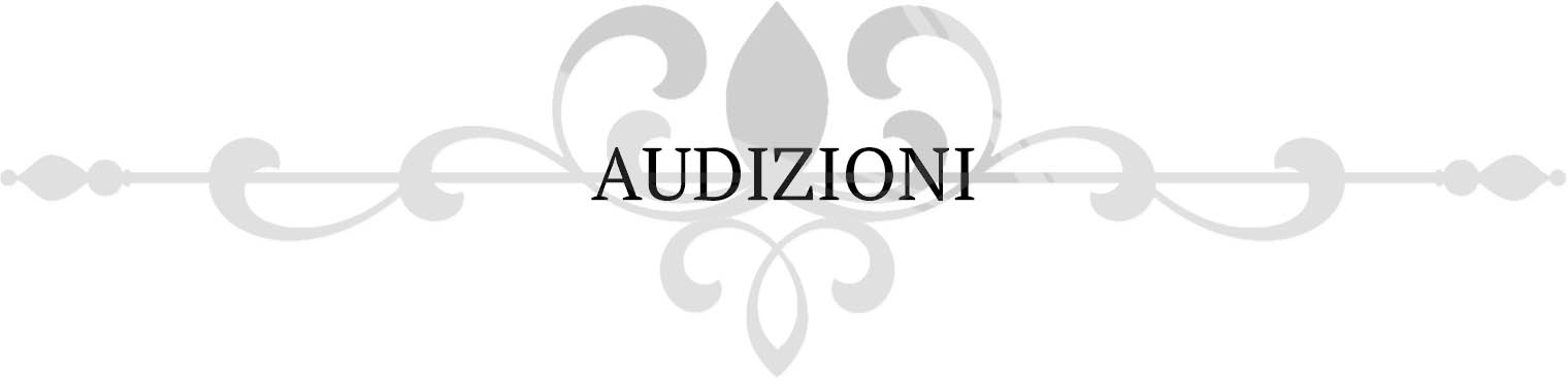 AUDIZIONI 2017